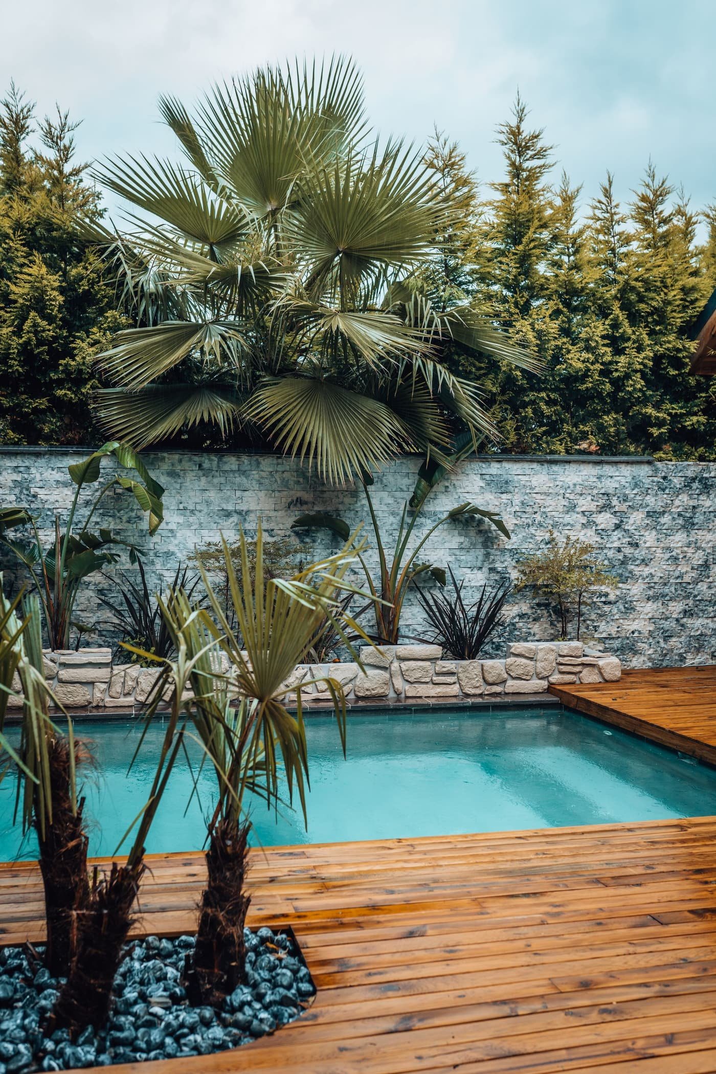 Small plunge spa with a wood deck and fan palms